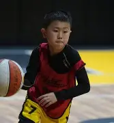 新奥尔良鹈鹕迎社区盾关键赛，集结日篮板制胜，媒体盛赞，医务组通报恢复的简单介绍